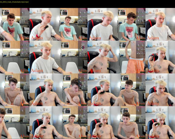 passionprince69 — 120 minute Chaturbate male cam show recording, 720p, Jul 24, 2024