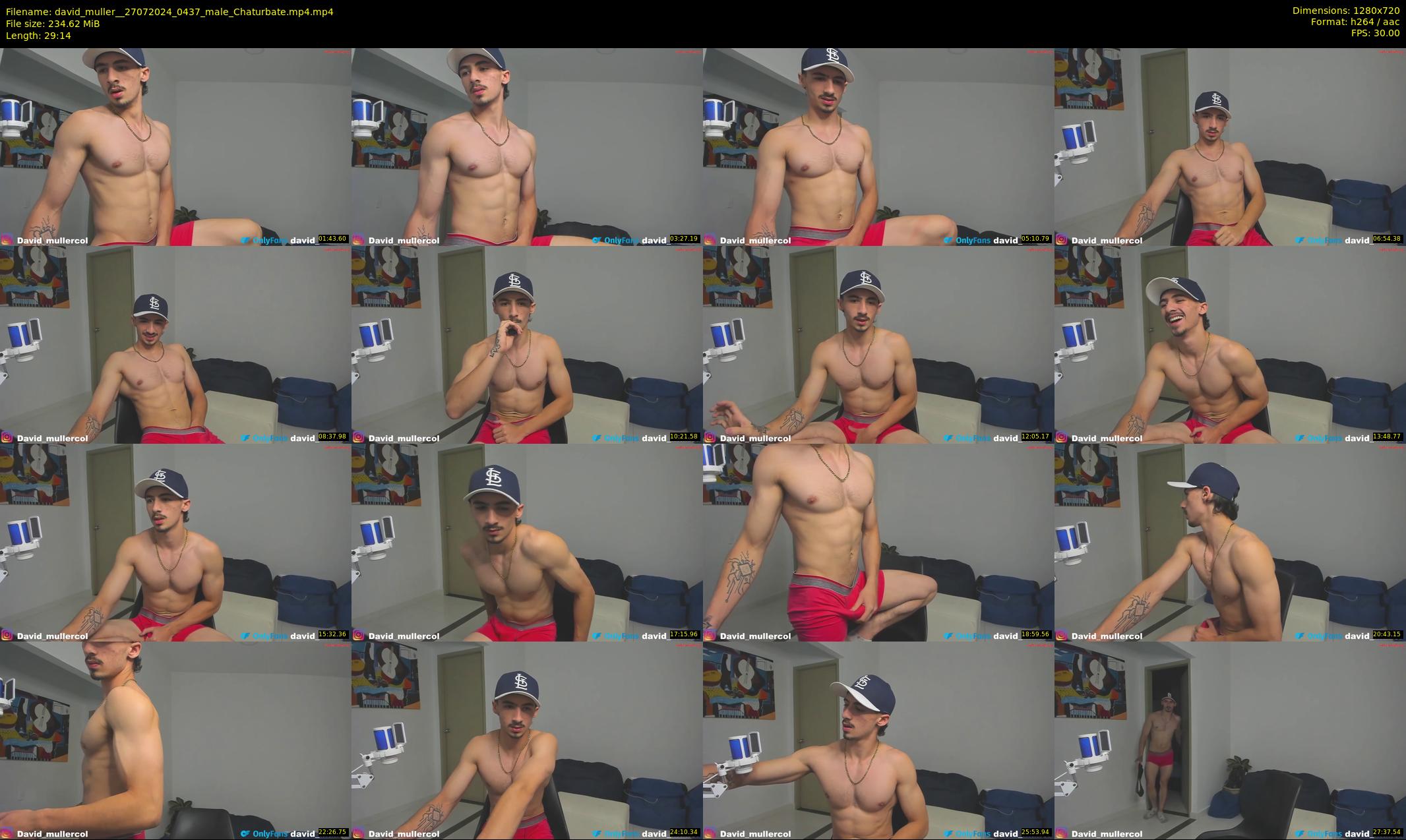 david_muller_ — 30 minute Chaturbate male cam show recording, 720p, Jul 27, 2024