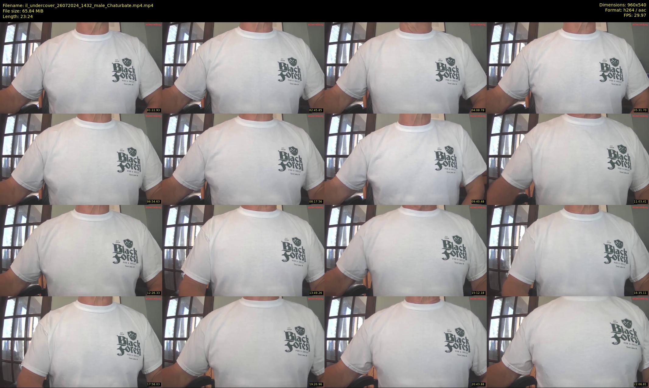 il_undercover — 24 minute Chaturbate male cam show recording, 480p, Jul 26, 2024