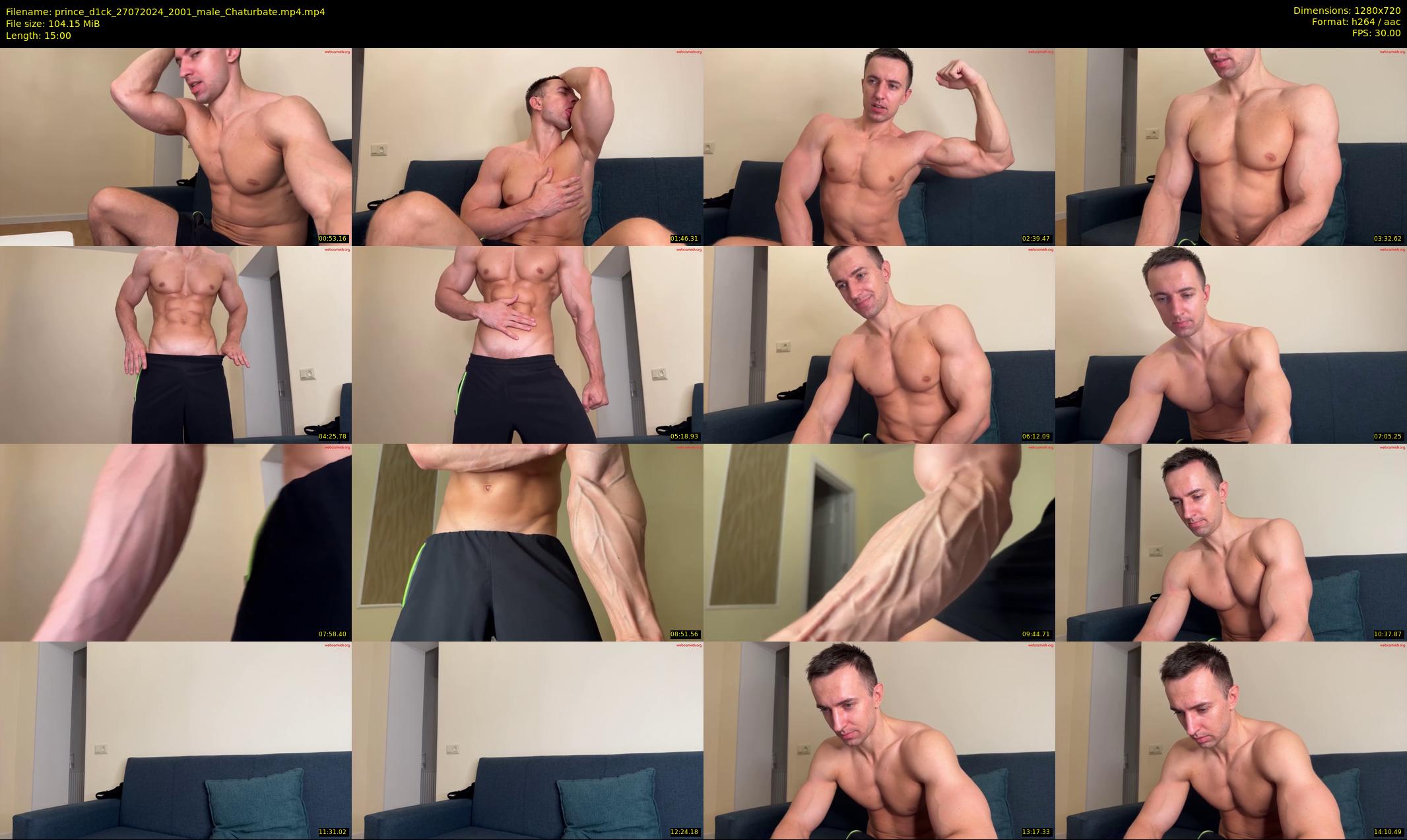 prince_d1ck — 15 minute Chaturbate male cam show recording, 720p, Jul 27, 2024