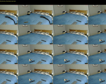 nzplaytime — 21 minute Chaturbate couple cam show recording, 720p, Jul 29, 2024