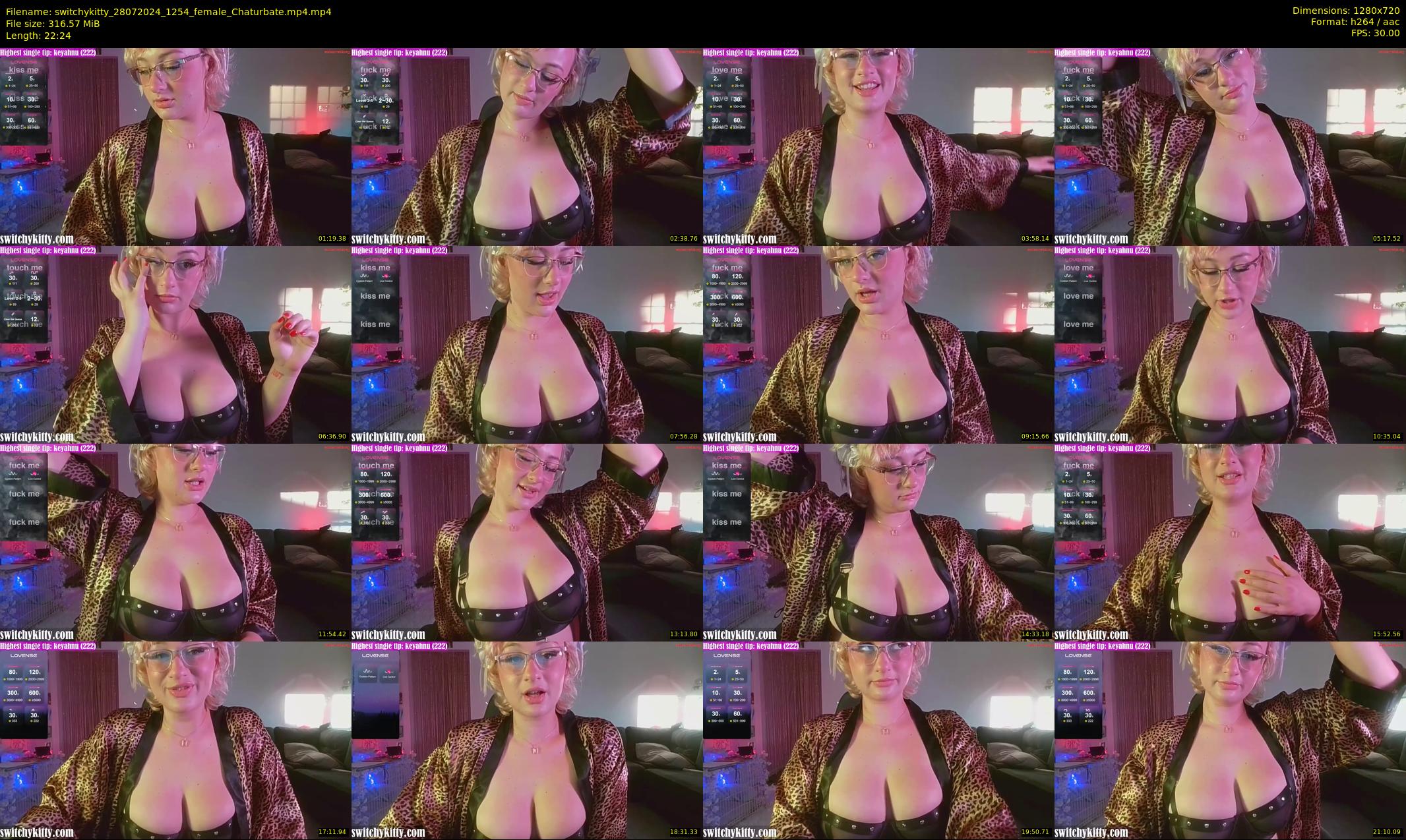 switchykitty — 23 minute Chaturbate female cam show recording, 720p, Jul 28, 2024