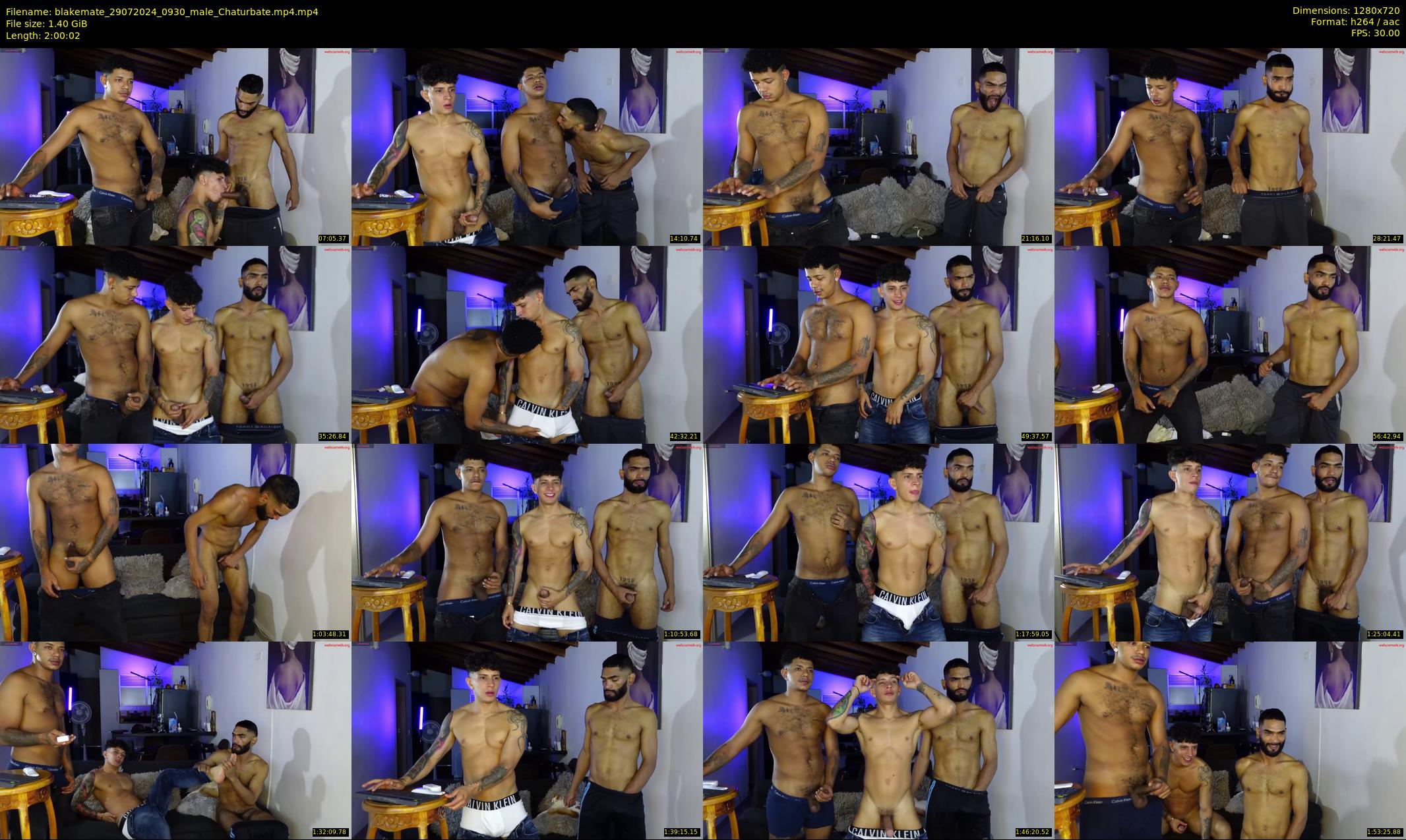 blakemate — 121 minute Chaturbate male cam show recording, 720p, Jul 29, 2024