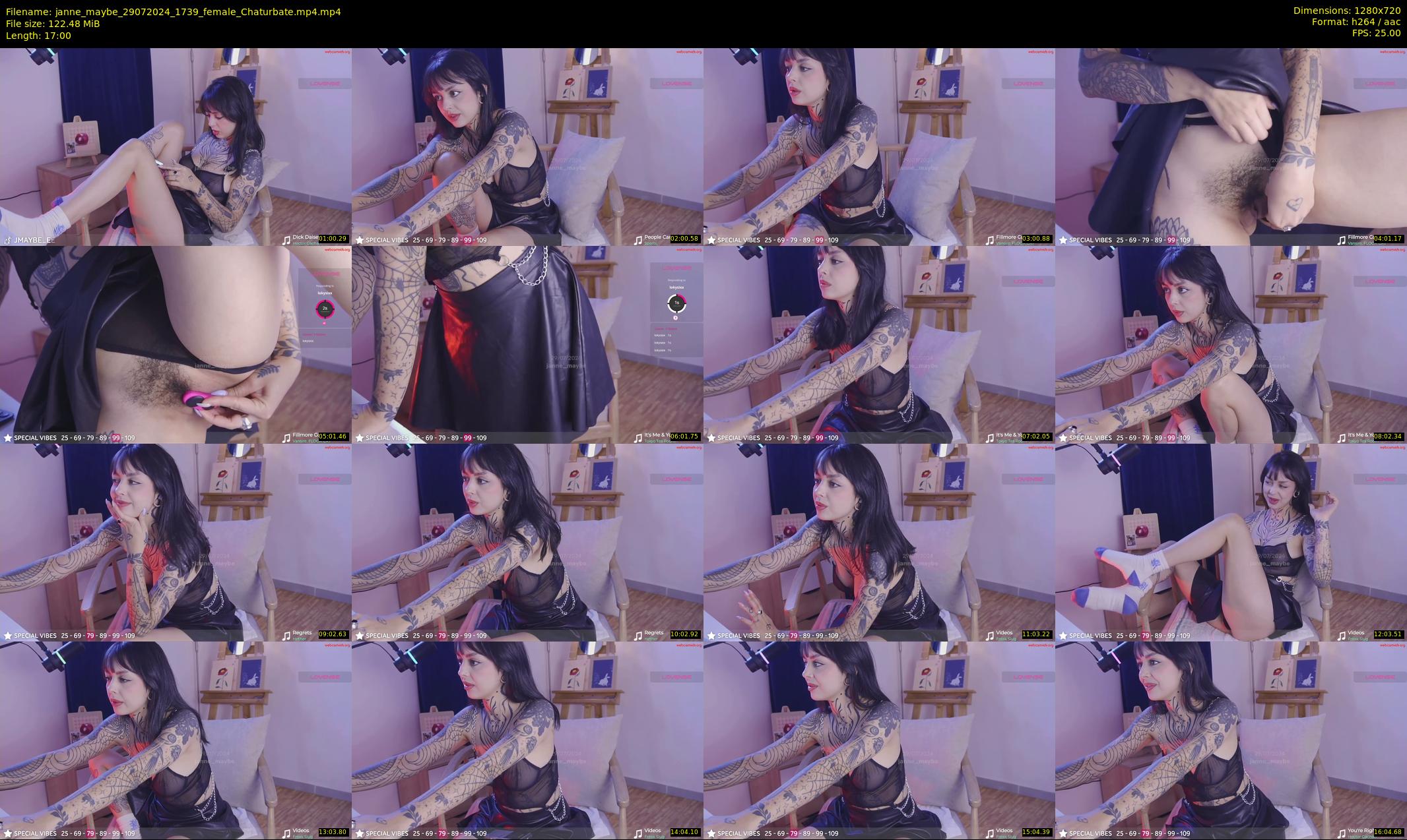 janne_maybe — 17 minute Chaturbate female cam show recording, 720p, Jul 29, 2024