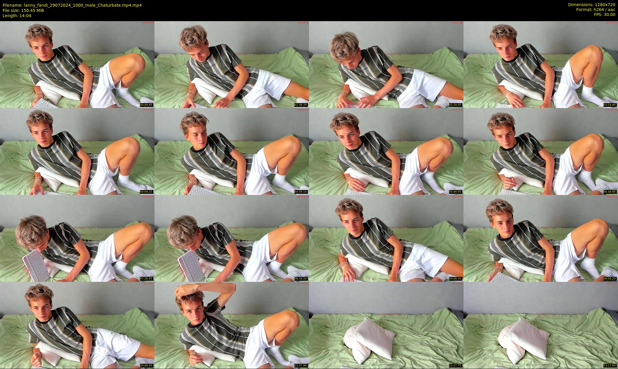 lanny_fandi — 15 minute Chaturbate male cam show recording, 720p, Jul 29, 2024