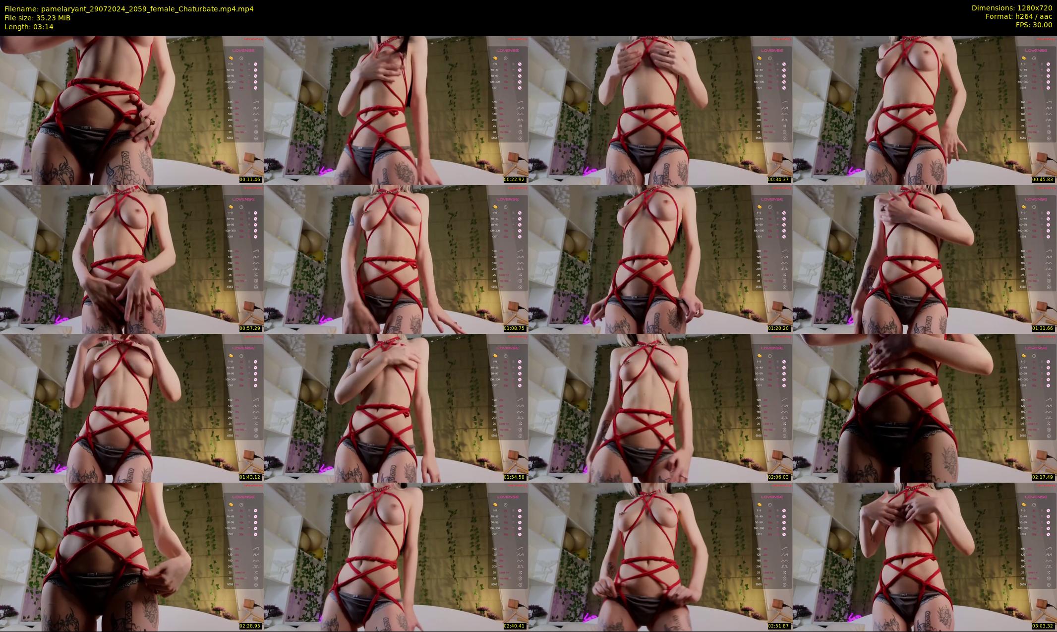 pamelaryant — 4 minute Chaturbate female cam show recording, 720p, Jul 29, 2024