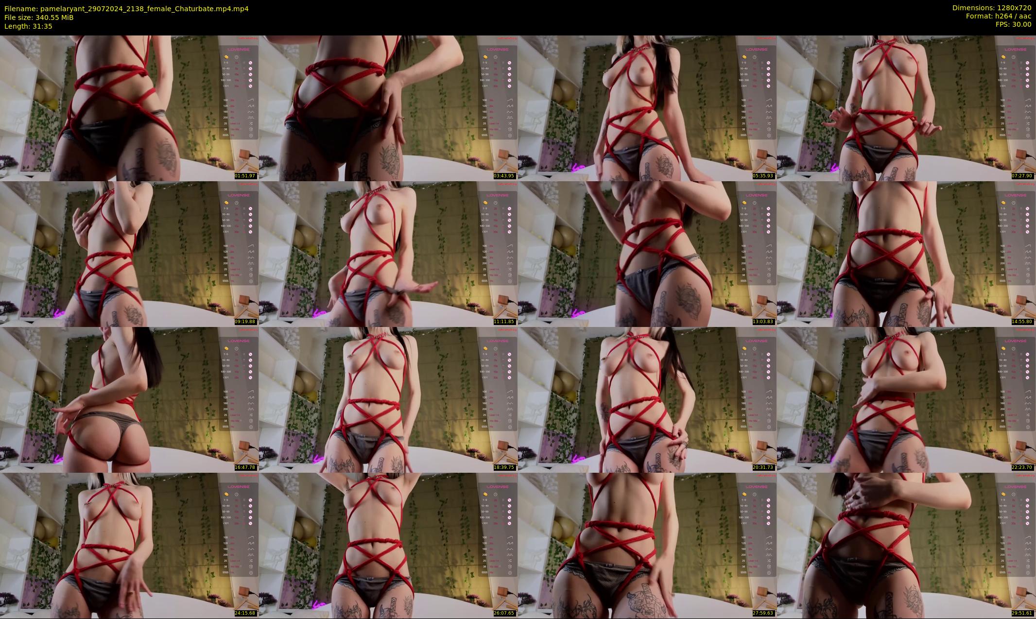 pamelaryant — 32 minute Chaturbate female cam show recording, 720p, Jul 29, 2024