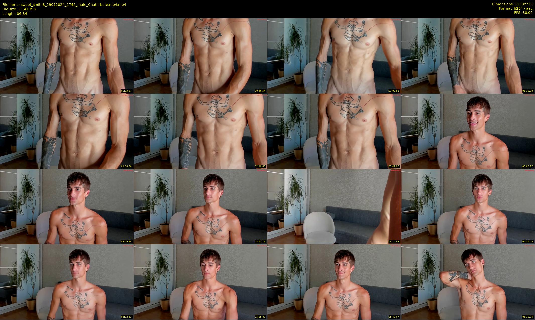 sweet_smith8 — 7 minute Chaturbate male cam show recording, 720p, Jul 29, 2024