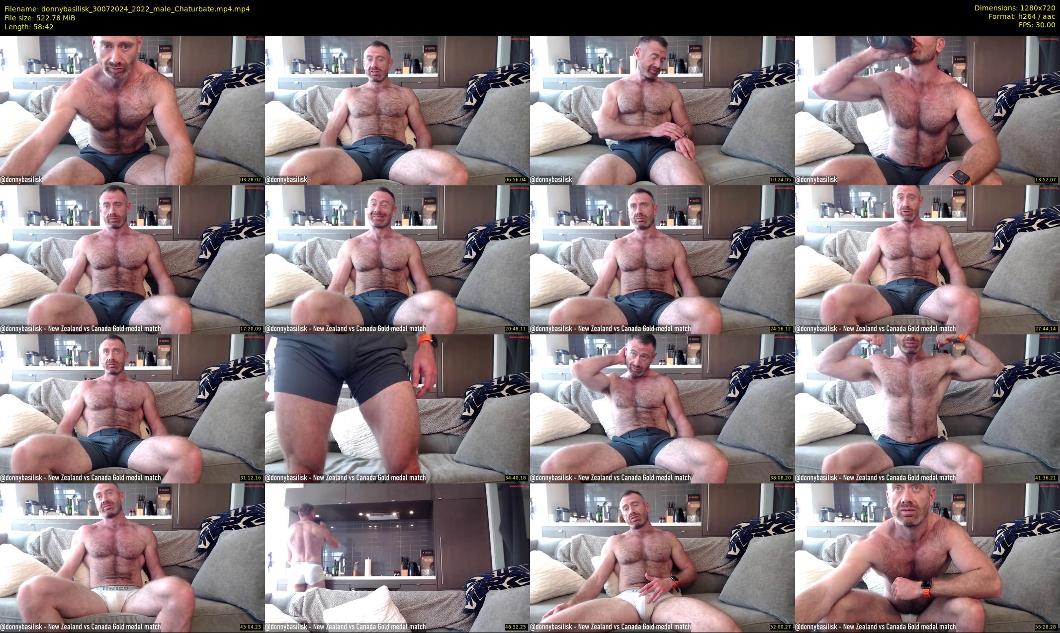 donnybasilisk — 59 minute Chaturbate male cam show recording, 720p, Jul 30, 2024