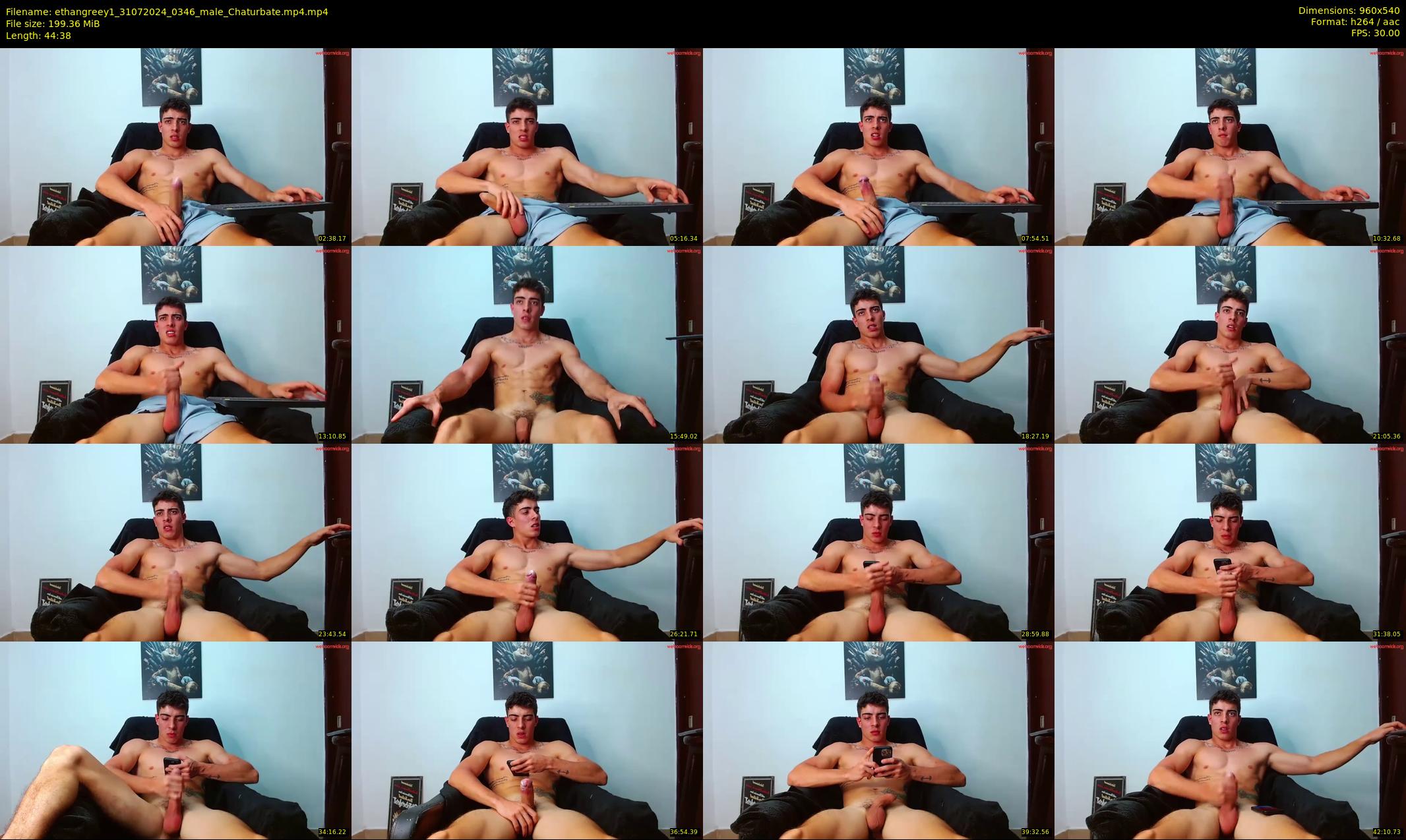 ethangreey1 — 45 minute Chaturbate male cam show recording, 480p, Jul 31, 2024