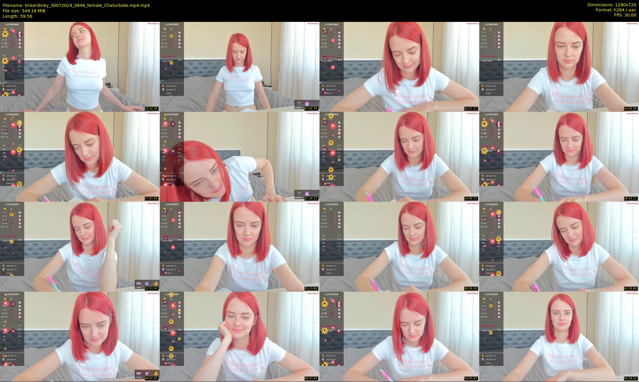 tinkerdinky — 60 minute Chaturbate female cam show recording, 720p, Jul 30, 2024