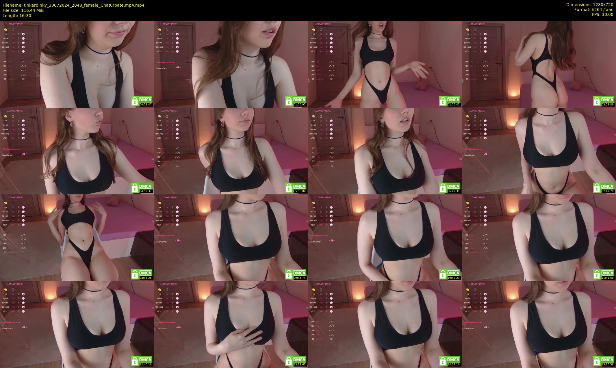 tinkerdinky — 17 minute Chaturbate female cam show recording, 720p, Jul 30, 2024