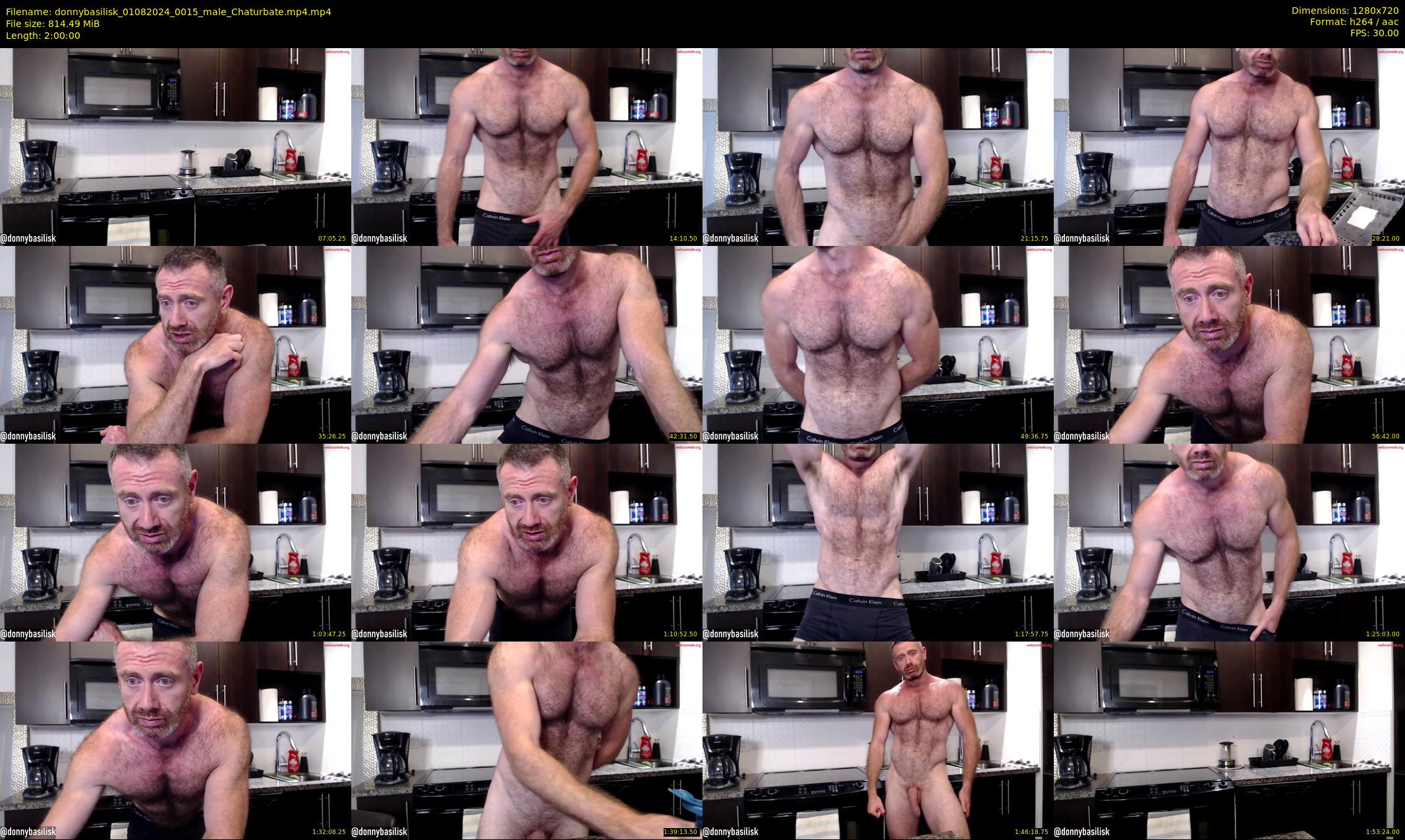 donnybasilisk — 120 minute Chaturbate male cam show recording, 720p, Aug 1, 2024