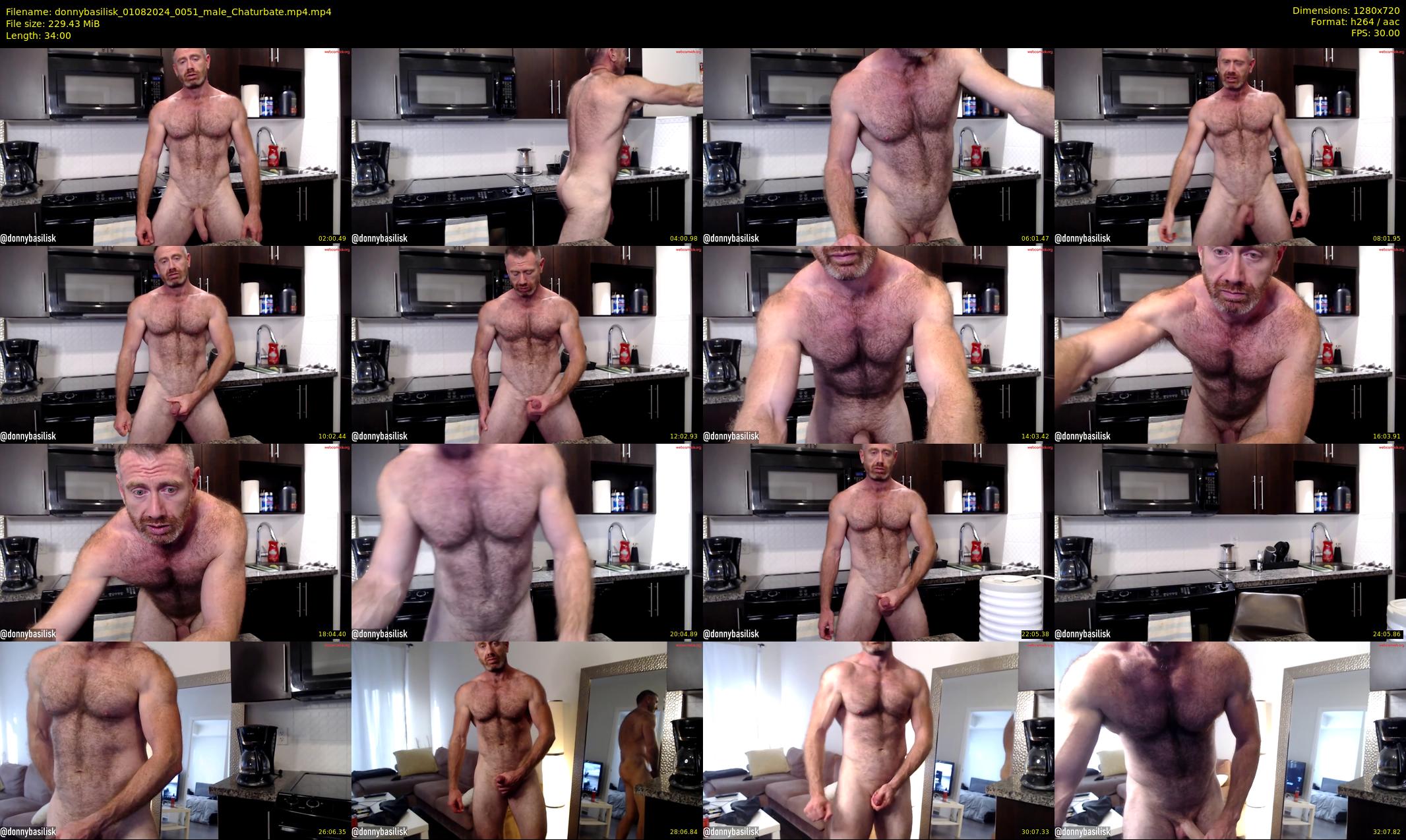 donnybasilisk — 34 minute Chaturbate male cam show recording, 720p, Aug 1, 2024