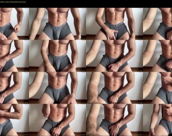 bestdick1991 — 19 minute Chaturbate male cam show recording, 720p, Aug 1, 2024