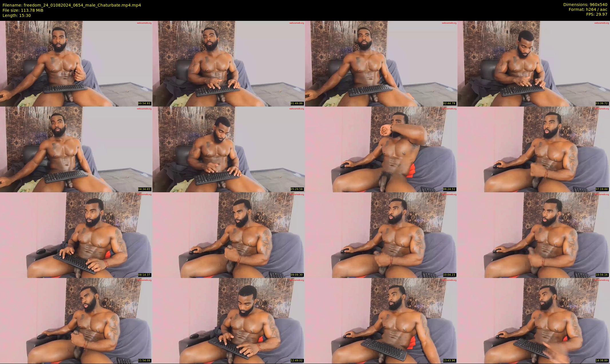 freedom_24 — 16 minute Chaturbate male cam show recording, 480p, Aug 1, 2024