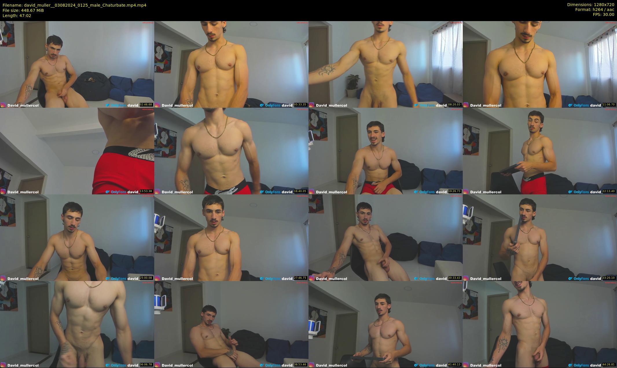 david_muller_ — 48 minute Chaturbate male cam show recording, 720p, Aug 3, 2024