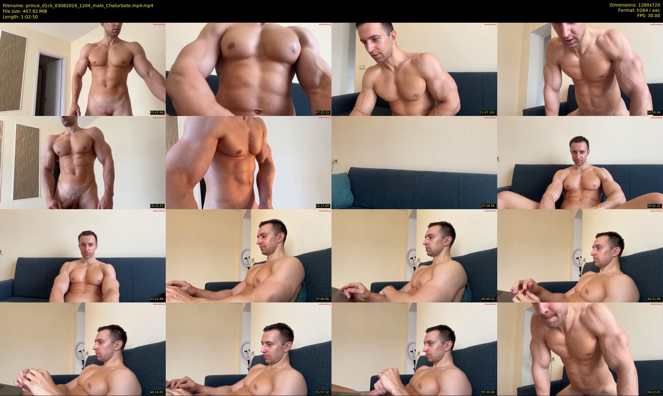 prince_d1ck — 63 minute Chaturbate male cam show recording, 720p, Aug 3, 2024