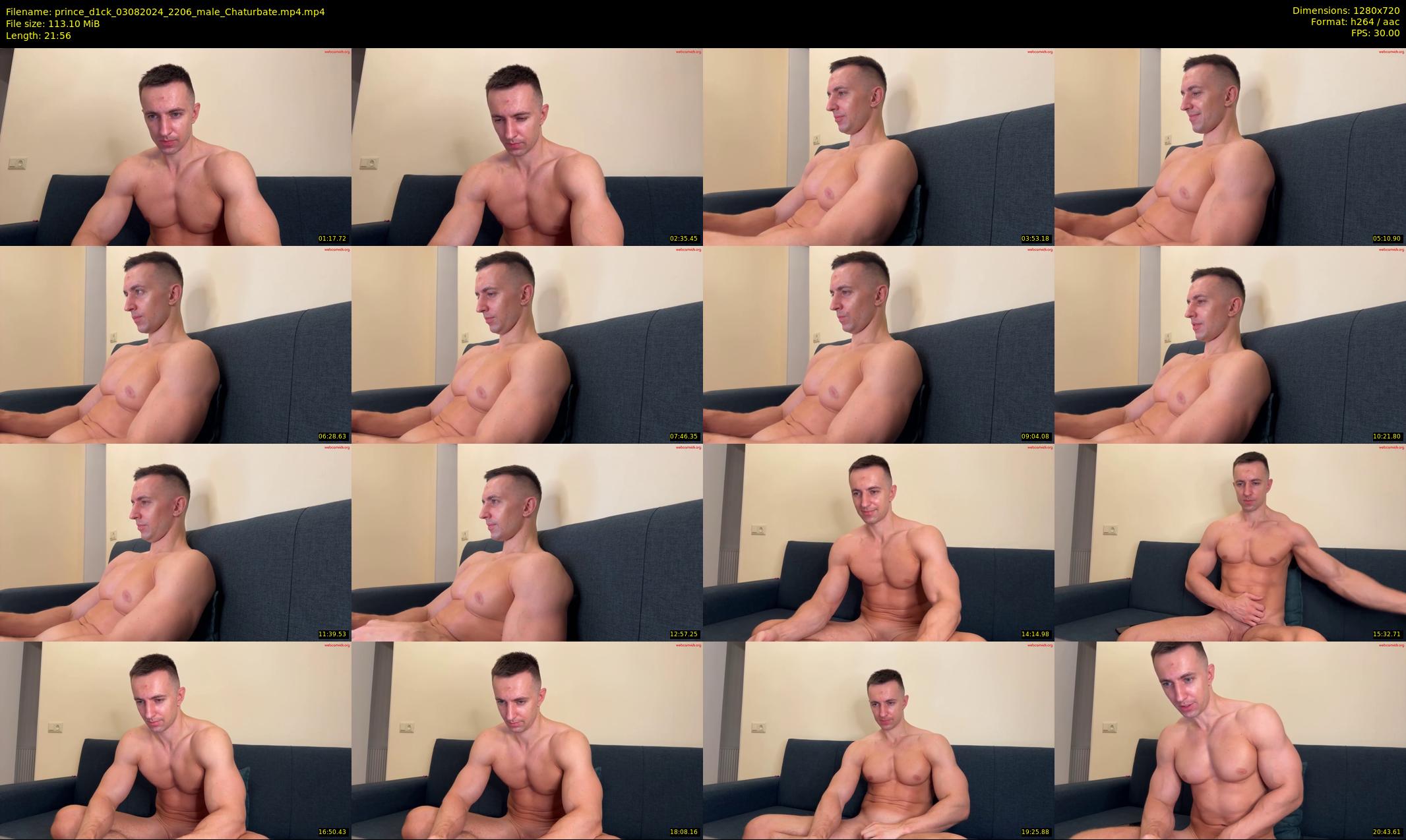 prince_d1ck — 22 minute Chaturbate male cam show recording, 720p, Aug 3, 2024