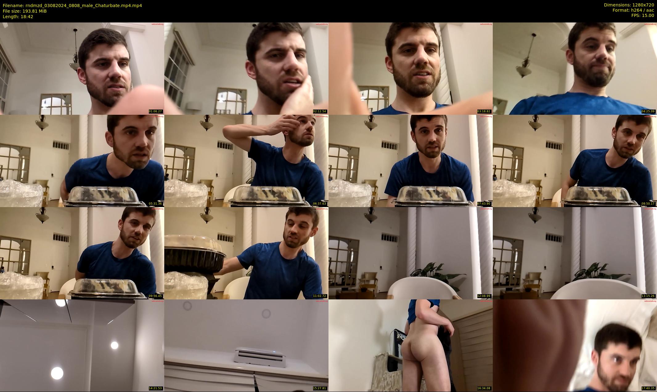 rndmzd — 19 minute Chaturbate male cam show recording, 720p, Aug 3, 2024