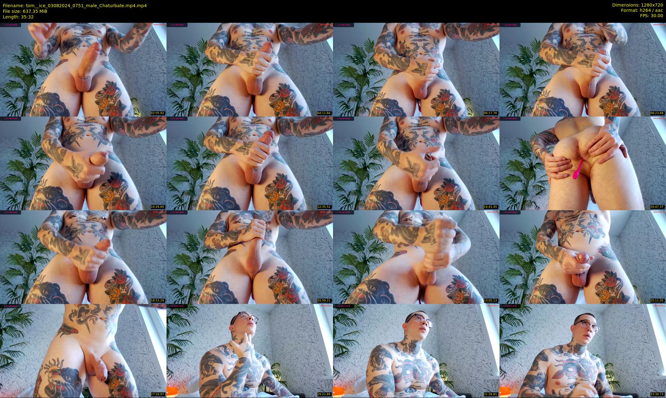 tom__ice — 36 minute Chaturbate male cam show recording, 720p, Aug 3, 2024