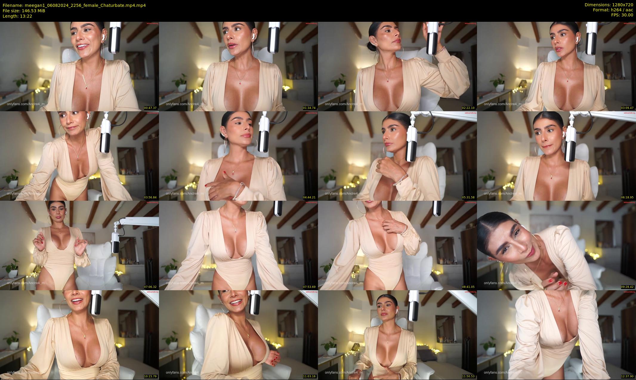 meegan1 — 14 minute Chaturbate female cam show recording, 720p, Aug 6, 2024