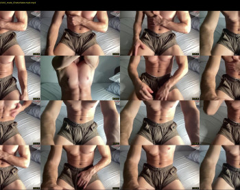 bestdick1991 — 20 minute Chaturbate male cam show recording, 720p, Aug 8, 2024