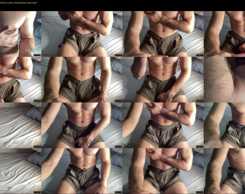bestdick1991 — 49 minute Chaturbate male cam show recording, 720p, Aug 8, 2024