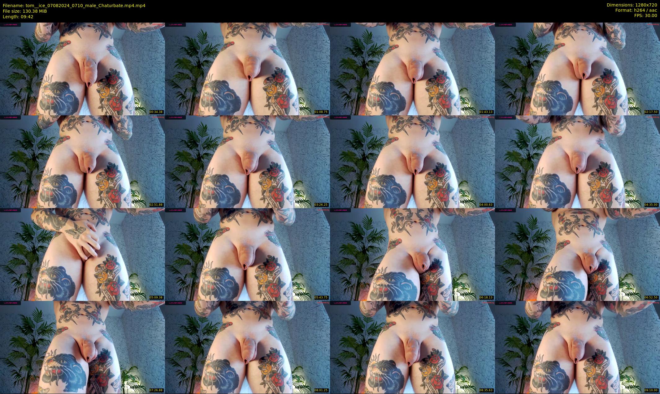 tom__ice — 10 minute Chaturbate male cam show recording, 720p, Aug 7, 2024