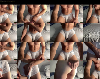 bestdick1991 — 47 minute Chaturbate male cam show recording, 720p, Aug 9, 2024