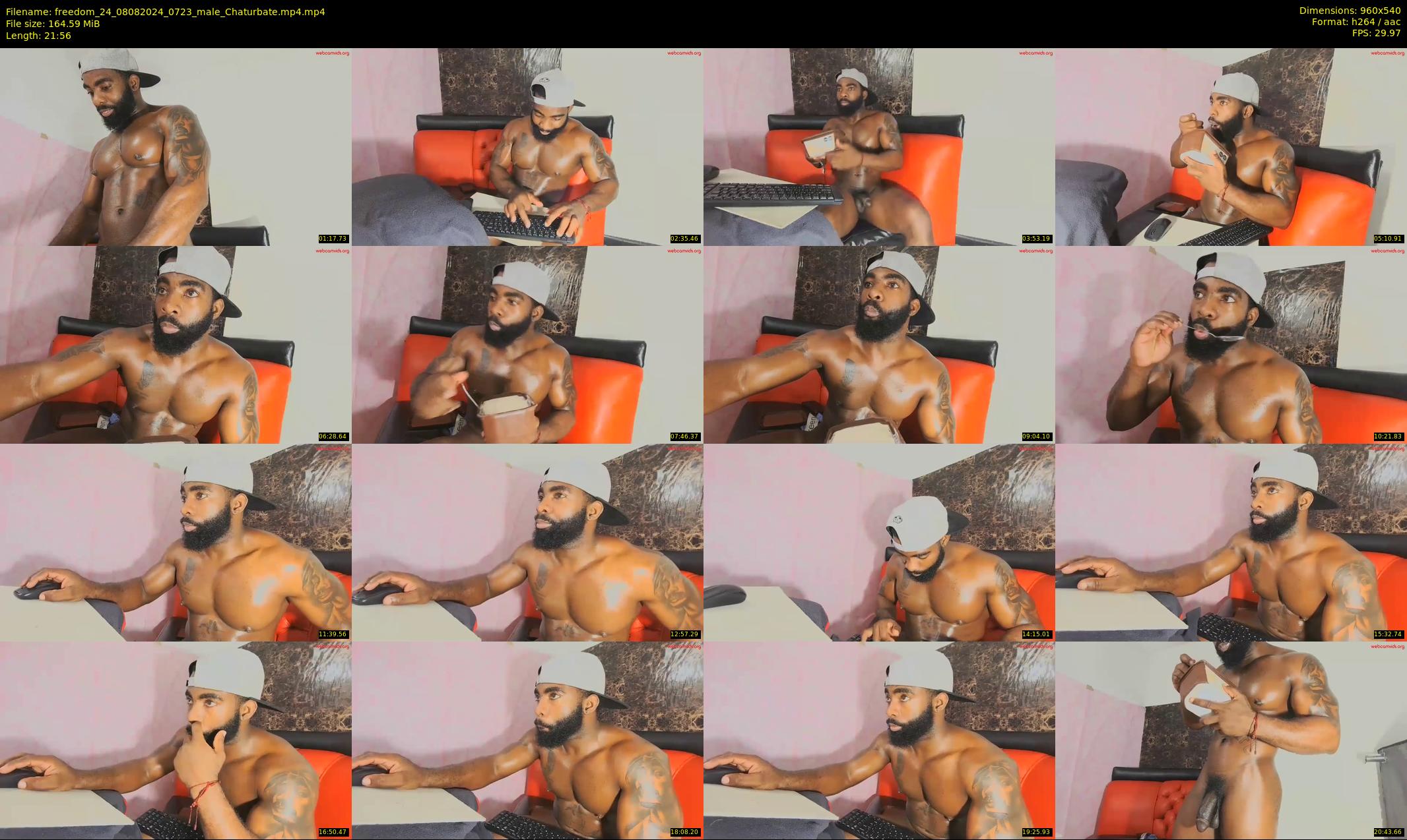 freedom_24 — 22 minute Chaturbate male cam show recording, 480p, Aug 8, 2024