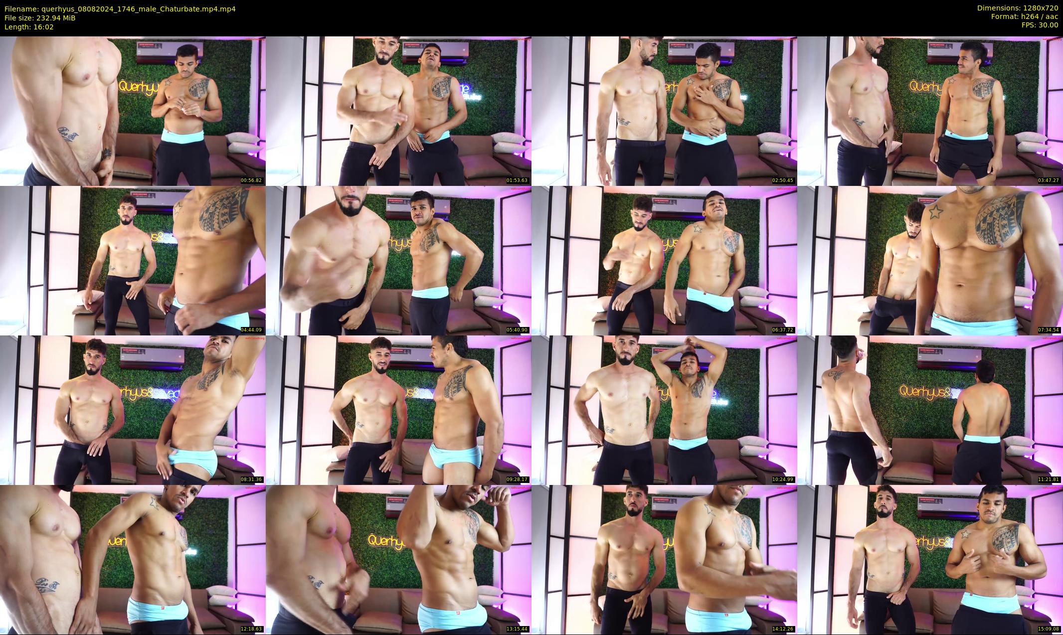 querhyus — 17 minute Chaturbate male cam show recording, 720p, Aug 8, 2024