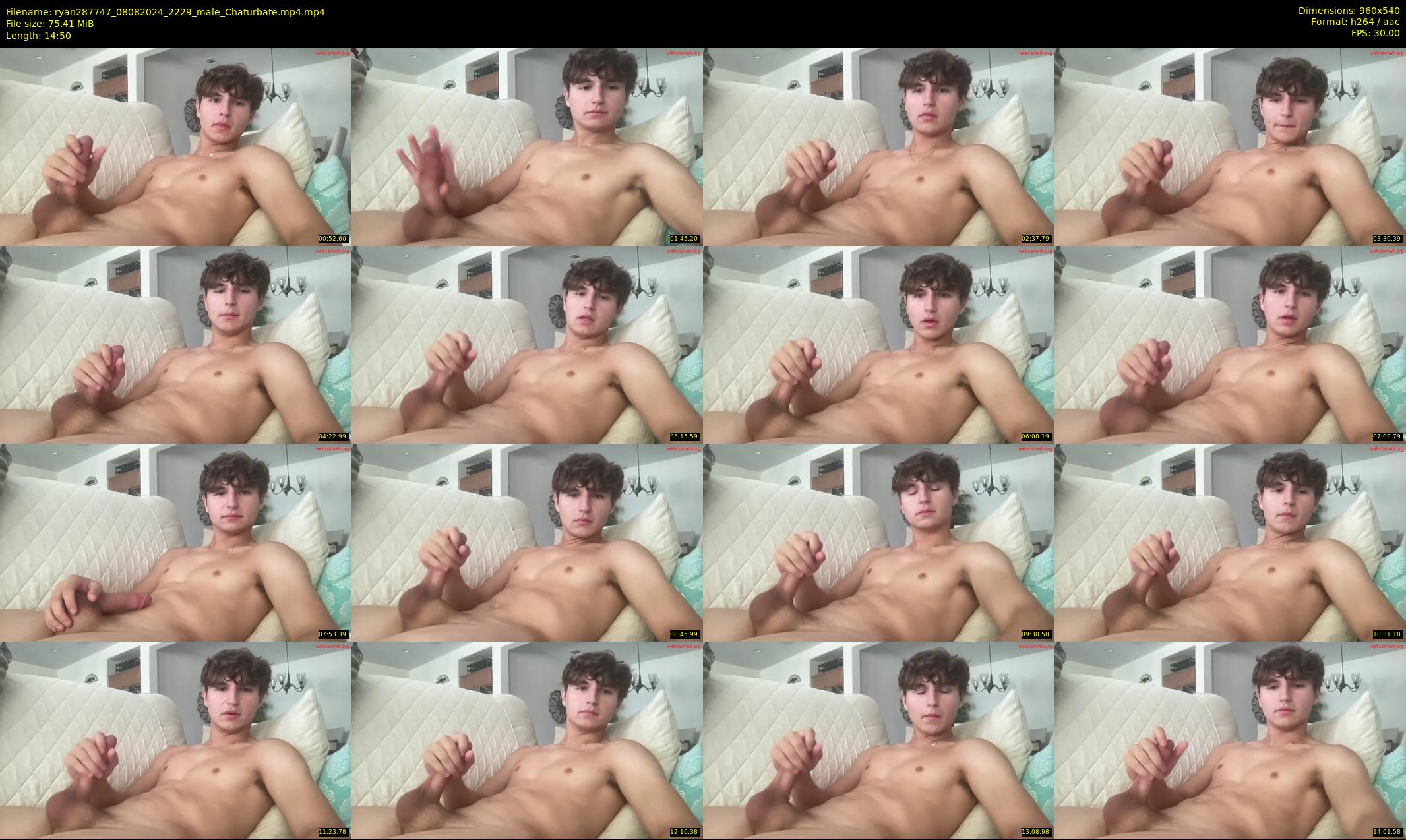 ryan287747 — 15 minute Chaturbate male cam show recording, 480p, Aug 8, 2024