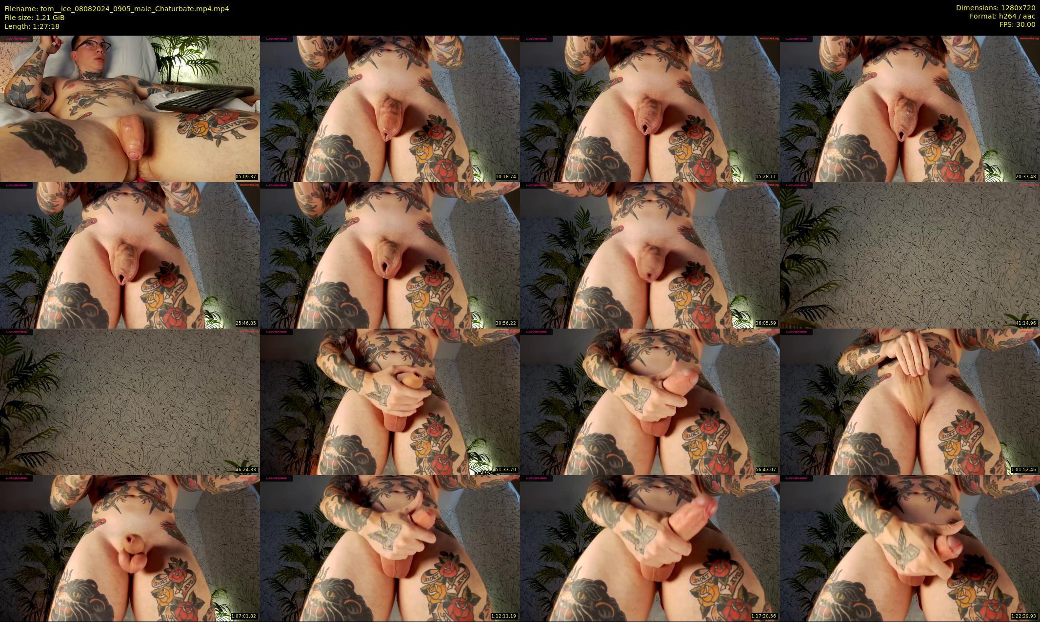 tom__ice — 88 minute Chaturbate male cam show recording, 720p, Aug 8, 2024