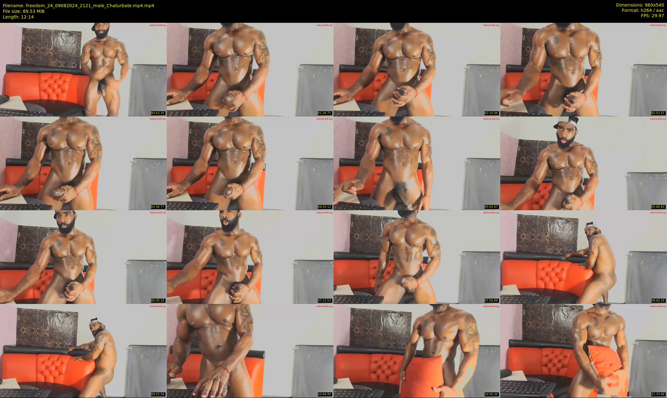 freedom_24 — 13 minute Chaturbate male cam show recording, 480p, Aug 9, 2024