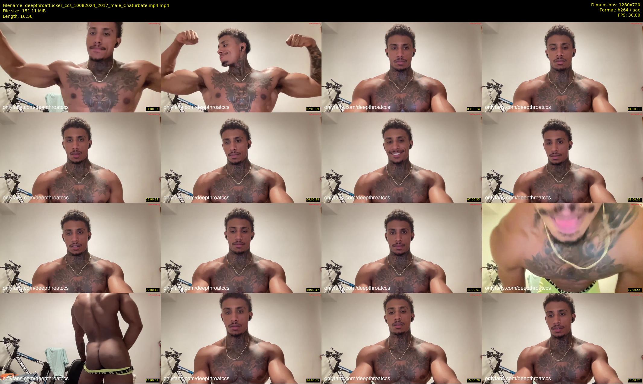 deepthroatfucker_ccs — 17 minute Chaturbate male cam show recording, 720p, Aug 10, 2024
