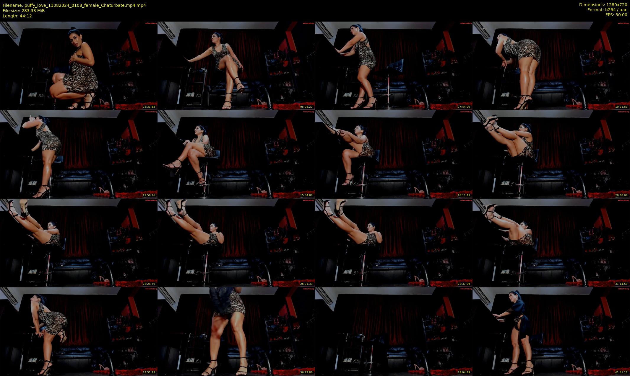 puffy_love — 45 minute Chaturbate female cam show recording, 720p, Aug 11, 2024