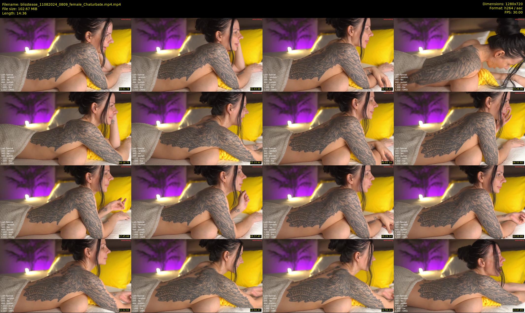 blisstease — 15 minute Chaturbate female cam show recording, 720p, Aug 11, 2024