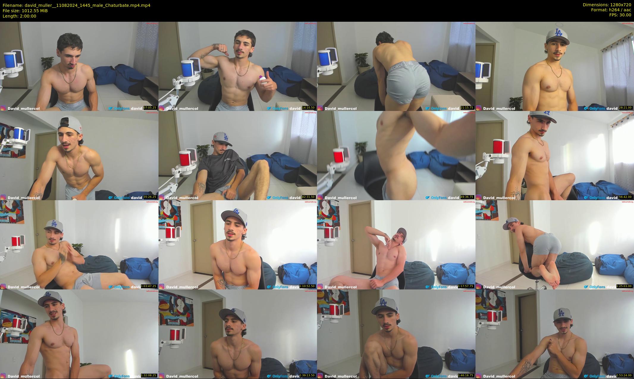 david_muller_ — 120 minute Chaturbate male cam show recording, 720p, Aug 11, 2024