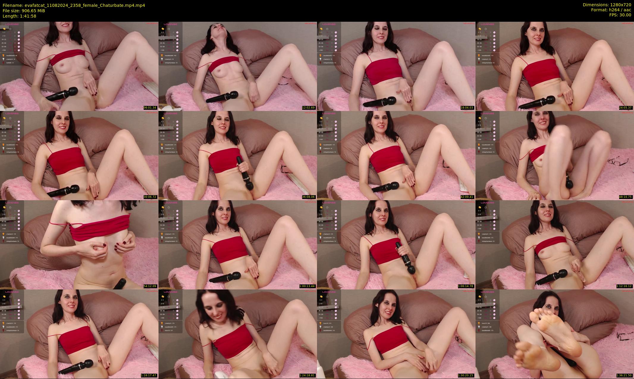 evafatcat — 102 minute Chaturbate couple cam show recording, 720p, Aug 11, 2024