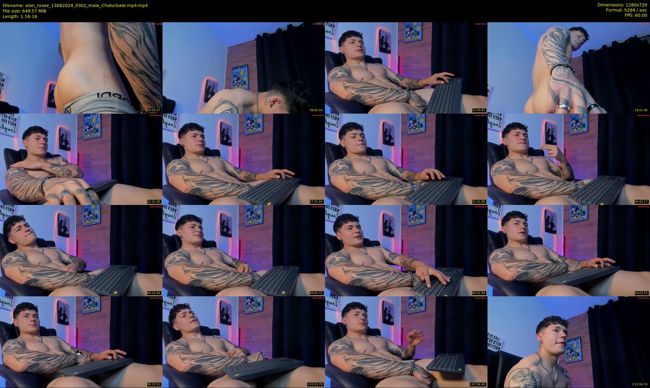 alan_rosee — 77 minute Chaturbate male cam show recording, 720p, Aug 13, 2024