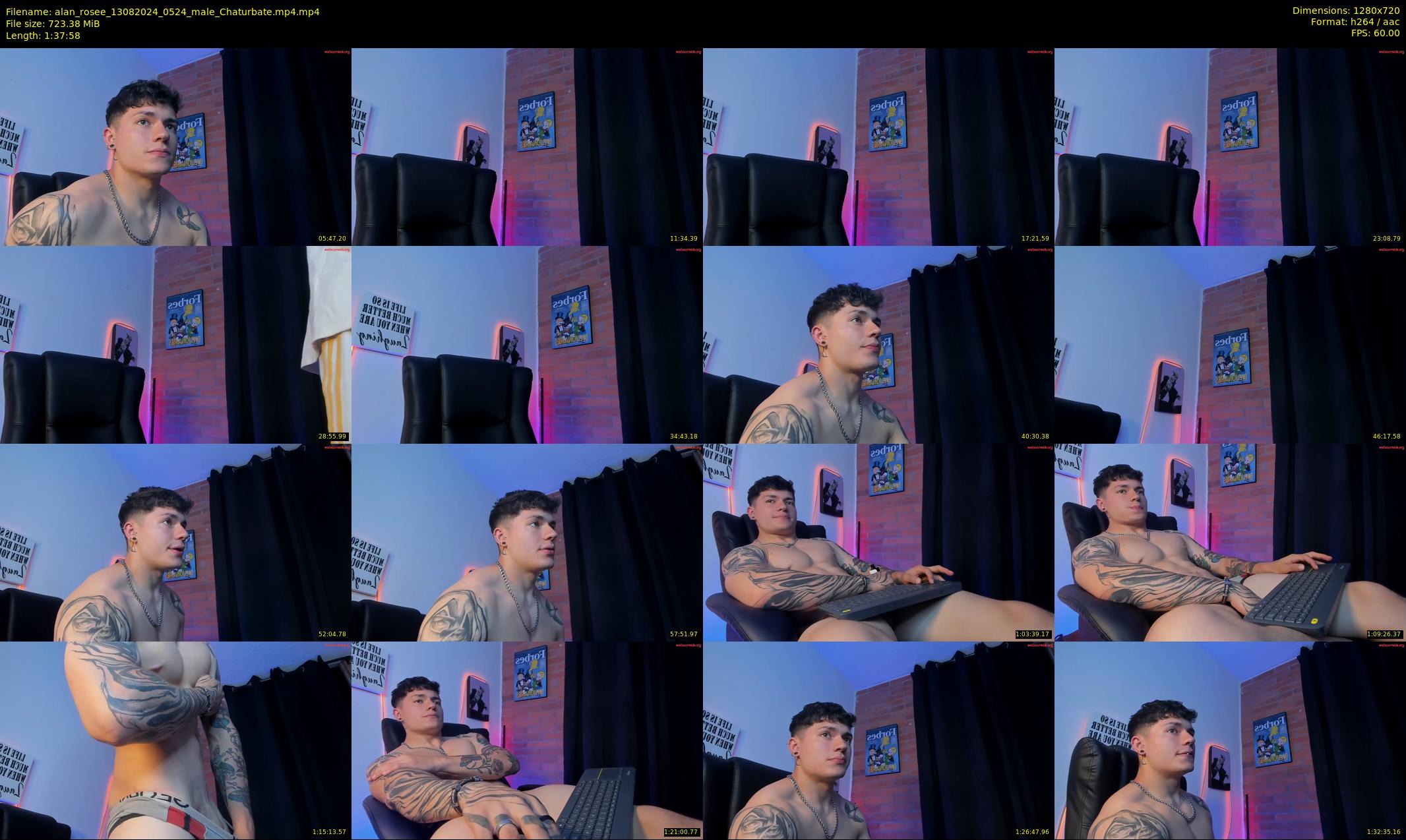 alan_rosee — 98 minute Chaturbate male cam show recording, 720p, Aug 13, 2024
