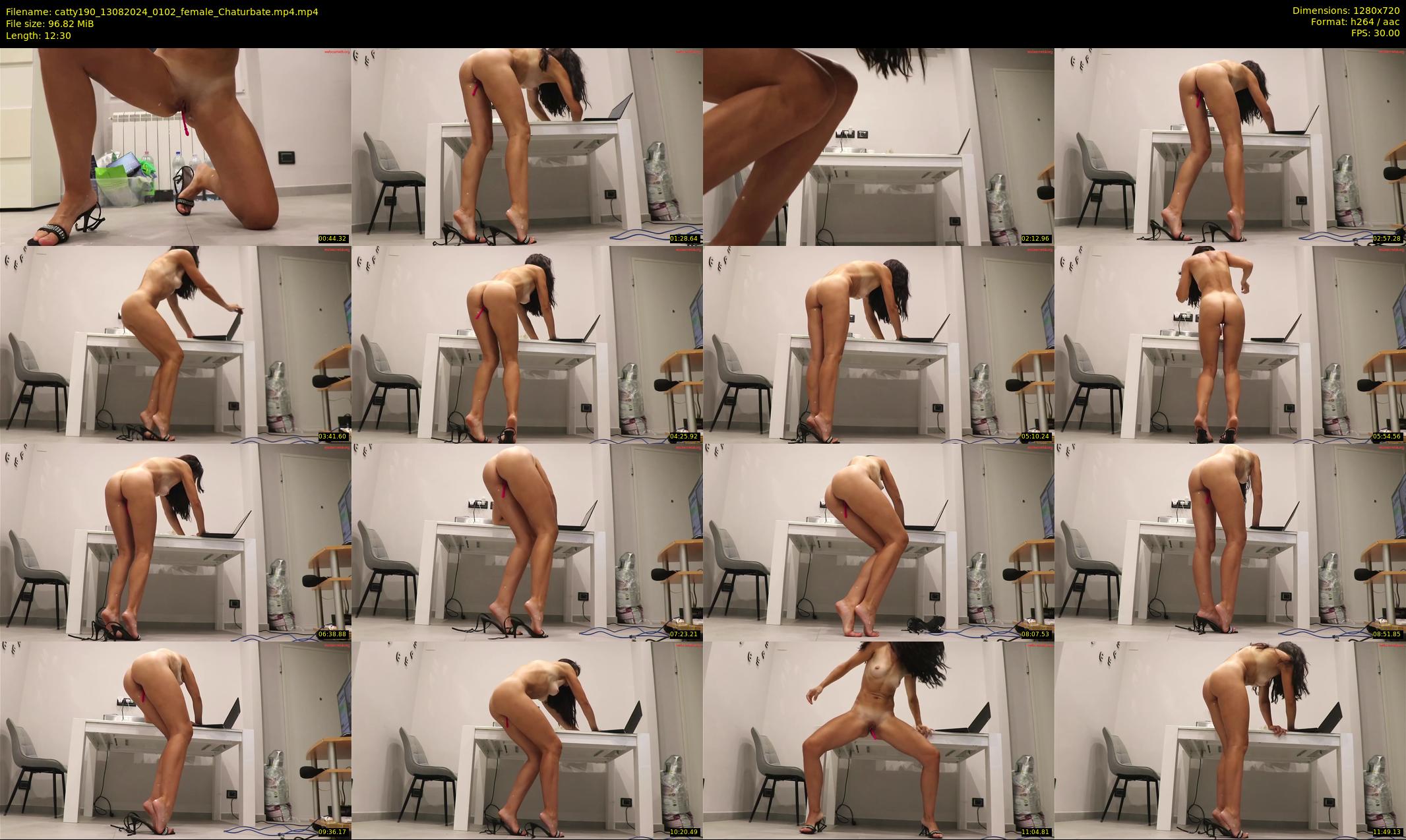catty190 — 13 minute Chaturbate female cam show recording, 720p, Aug 13, 2024