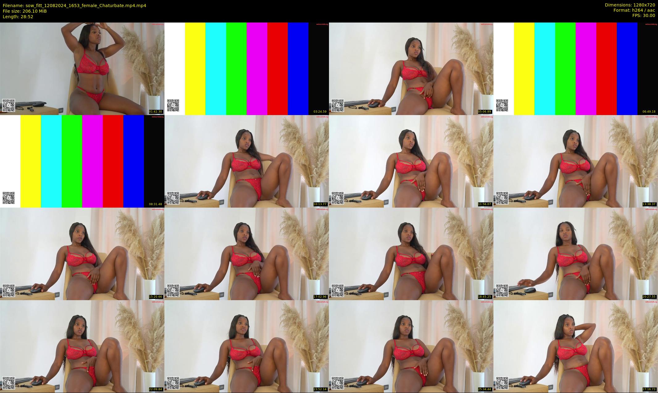 sow_fitt — 29 minute Chaturbate female cam show recording, 720p, Aug 12, 2024