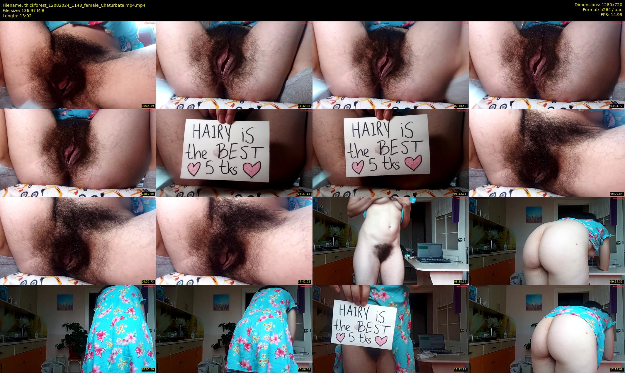 thickforest — 14 minute Chaturbate female cam show recording, 720p, Aug 12, 2024