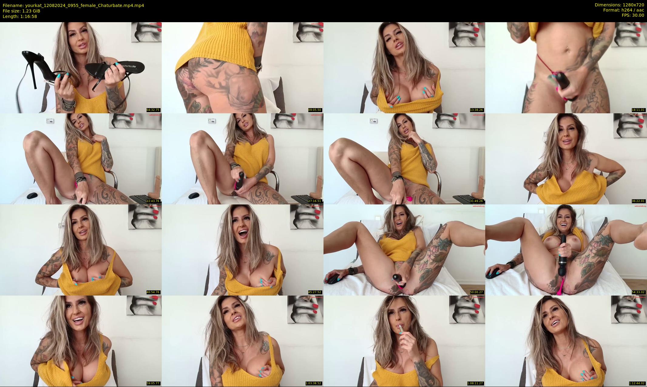yourkat — 77 minute Chaturbate female cam show recording, 720p, Aug 12, 2024