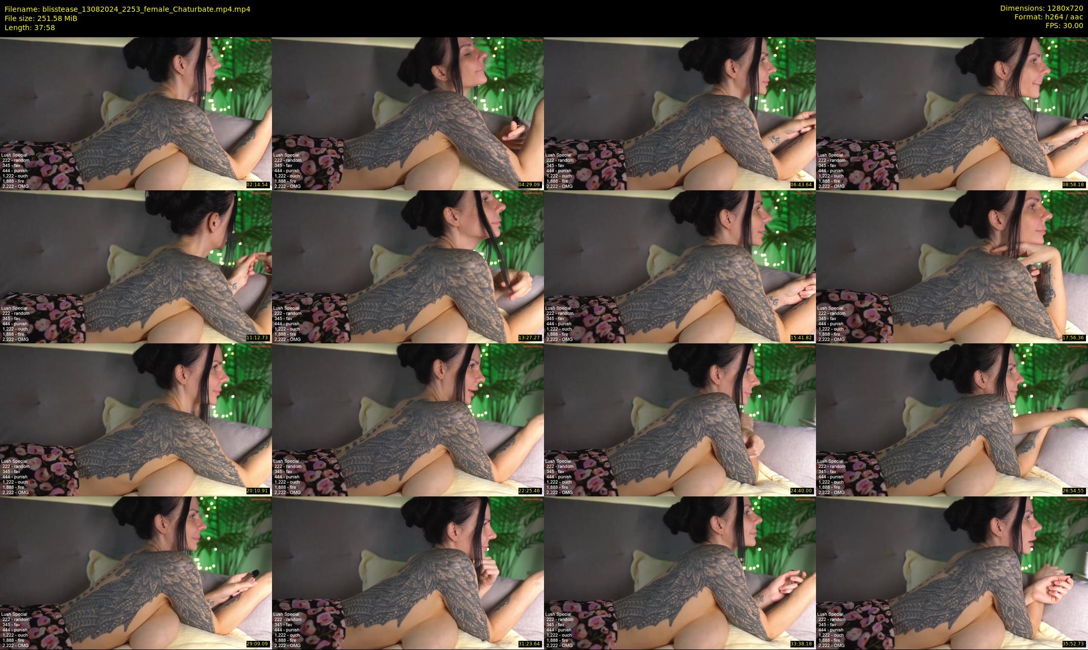 blisstease — 38 minute Chaturbate female cam show recording, 720p, Aug 13, 2024