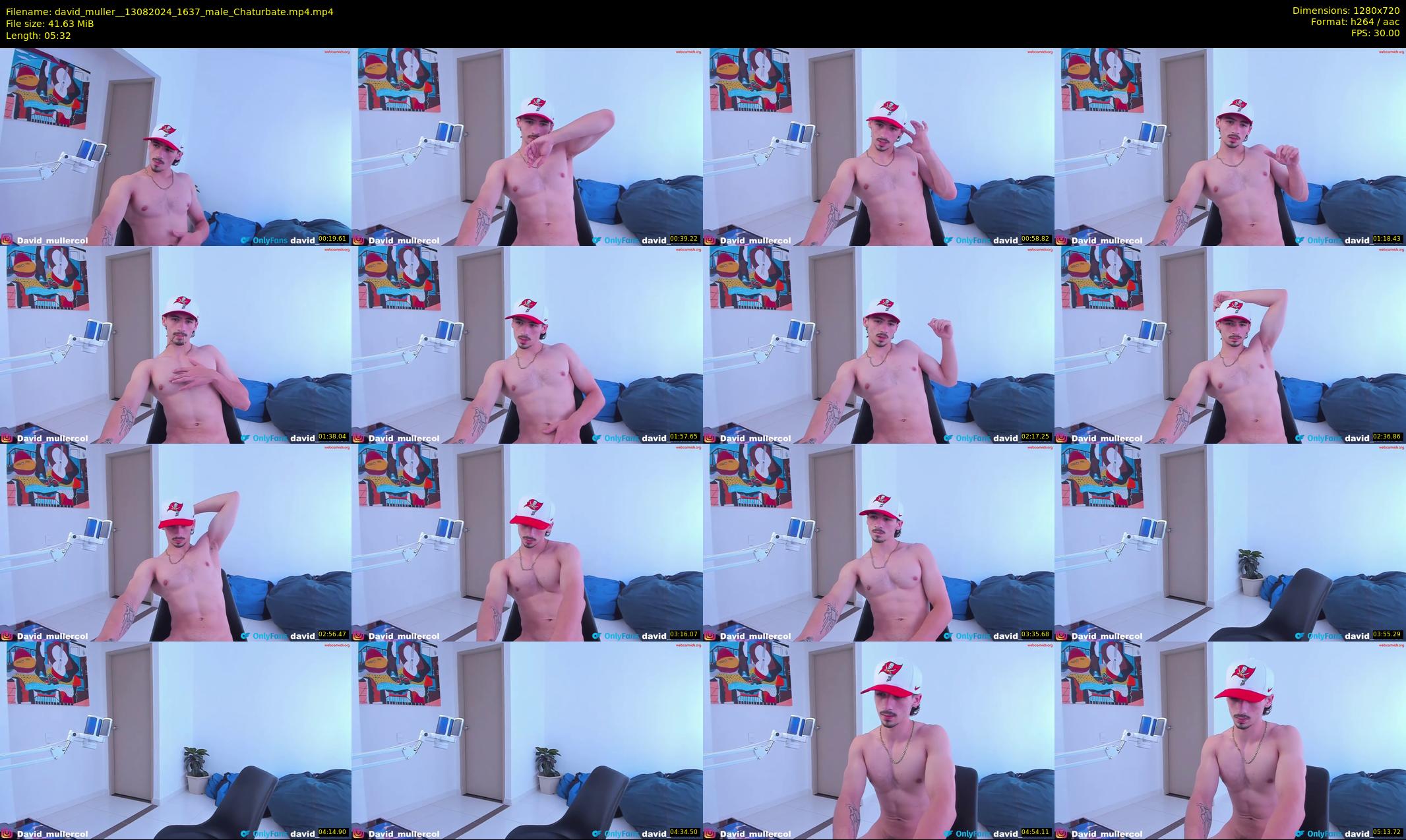 david_muller_ — 6 minute Chaturbate male cam show recording, 720p, Aug 13, 2024