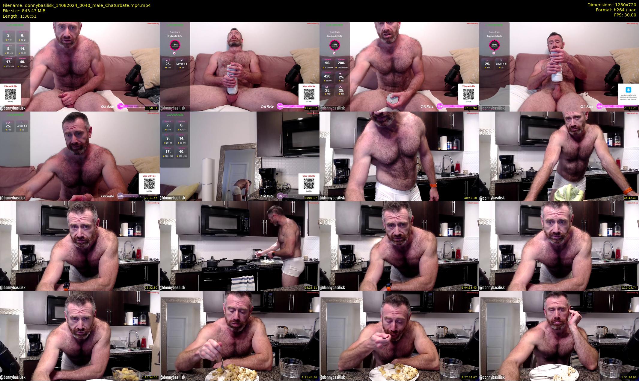 donnybasilisk — 99 minute Chaturbate male cam show recording, 720p, Aug 14, 2024