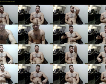 inamate93 — 15 minute Chaturbate male cam show recording, 720p, Aug 13, 2024